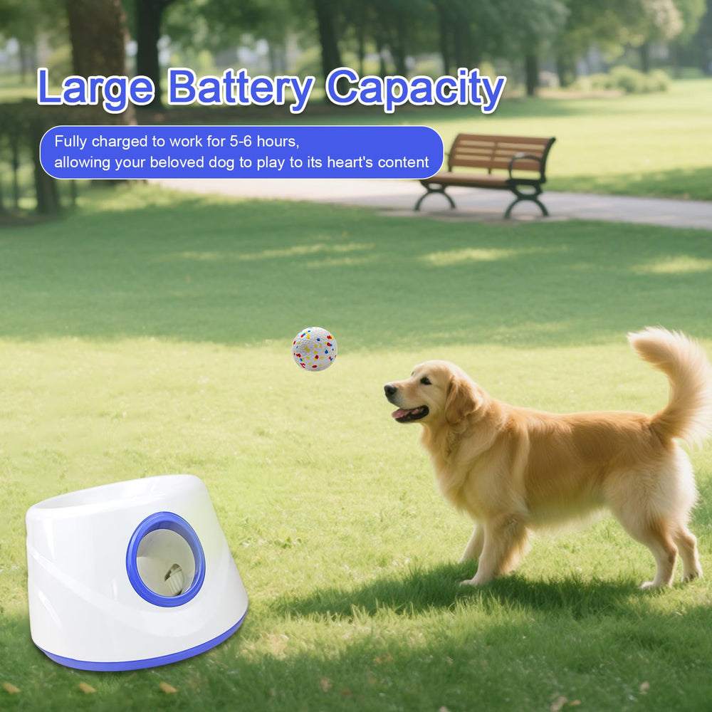 Durable TPU balls resist chewing for longer fetch sessions with RERBIO