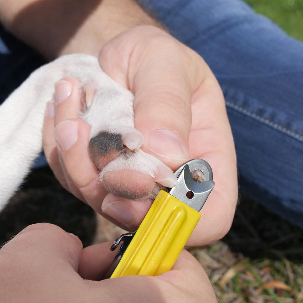 Resco Original Deluxe dog nail clippers close-up blade highlighting replaceable blade system