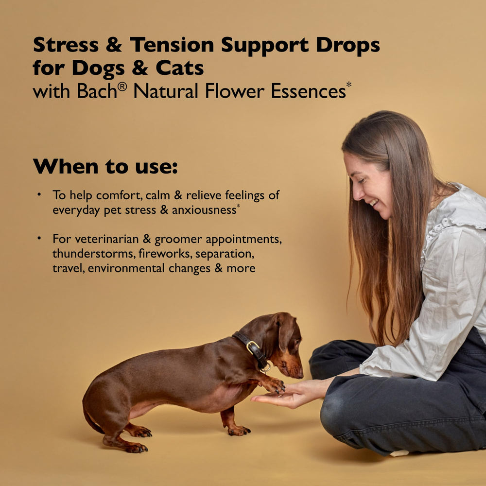 RESCUE Remedy Pet Dropper drops closeup highlights the soothing liquid for pets.
