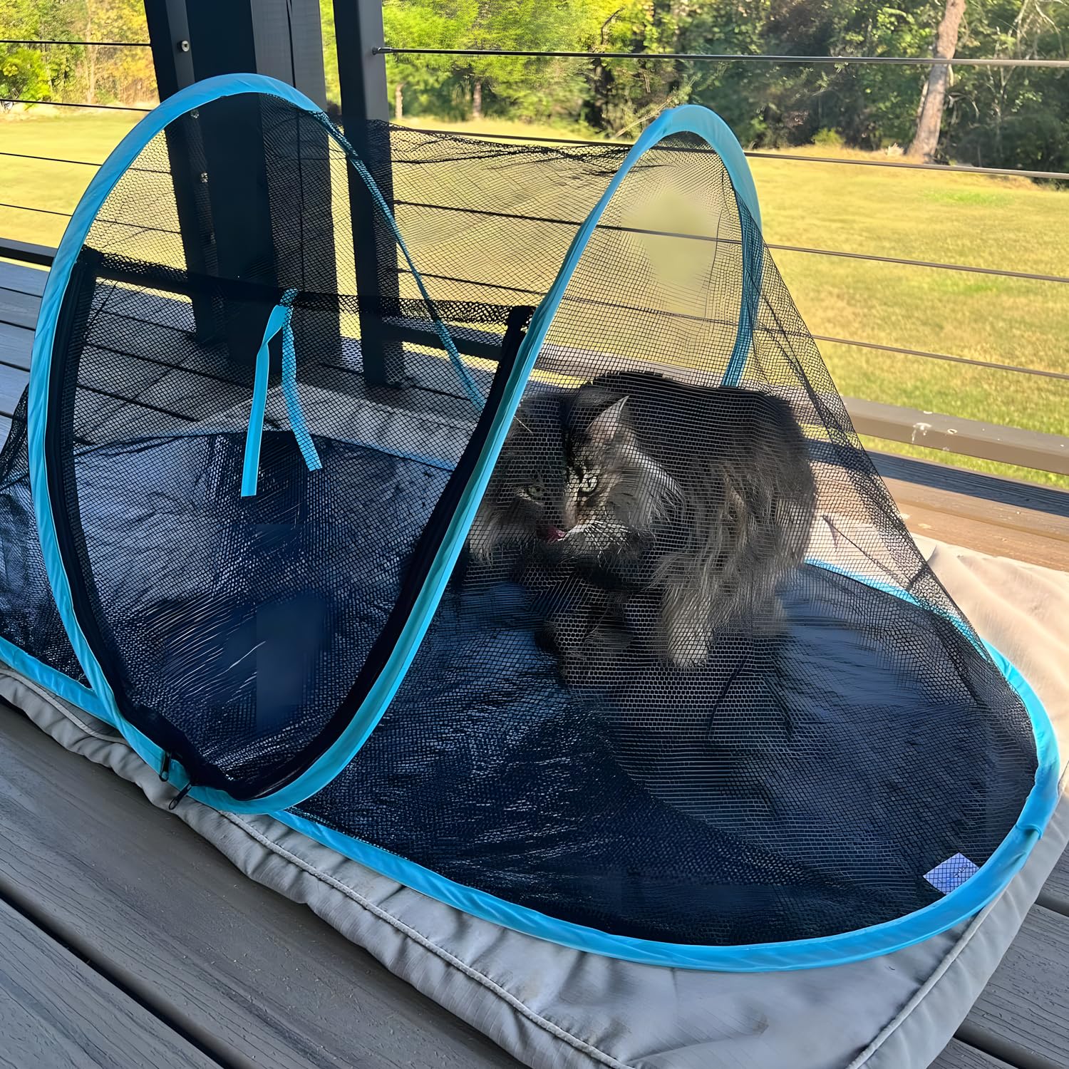 Rest-Eazzzy cat tent quick setup in seconds.