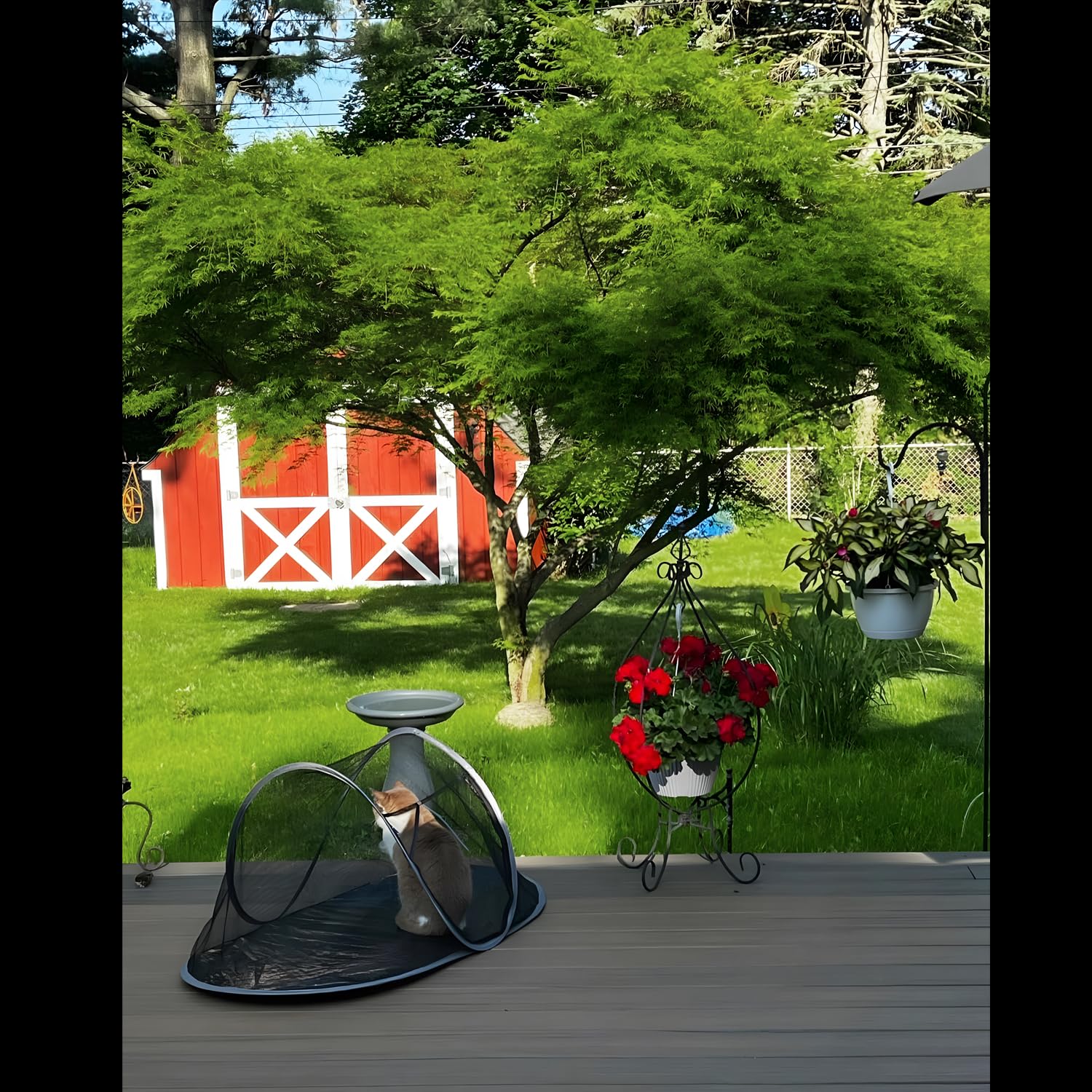 Rest-Eazzzy cat tent compatible with wind stakes for added stability.