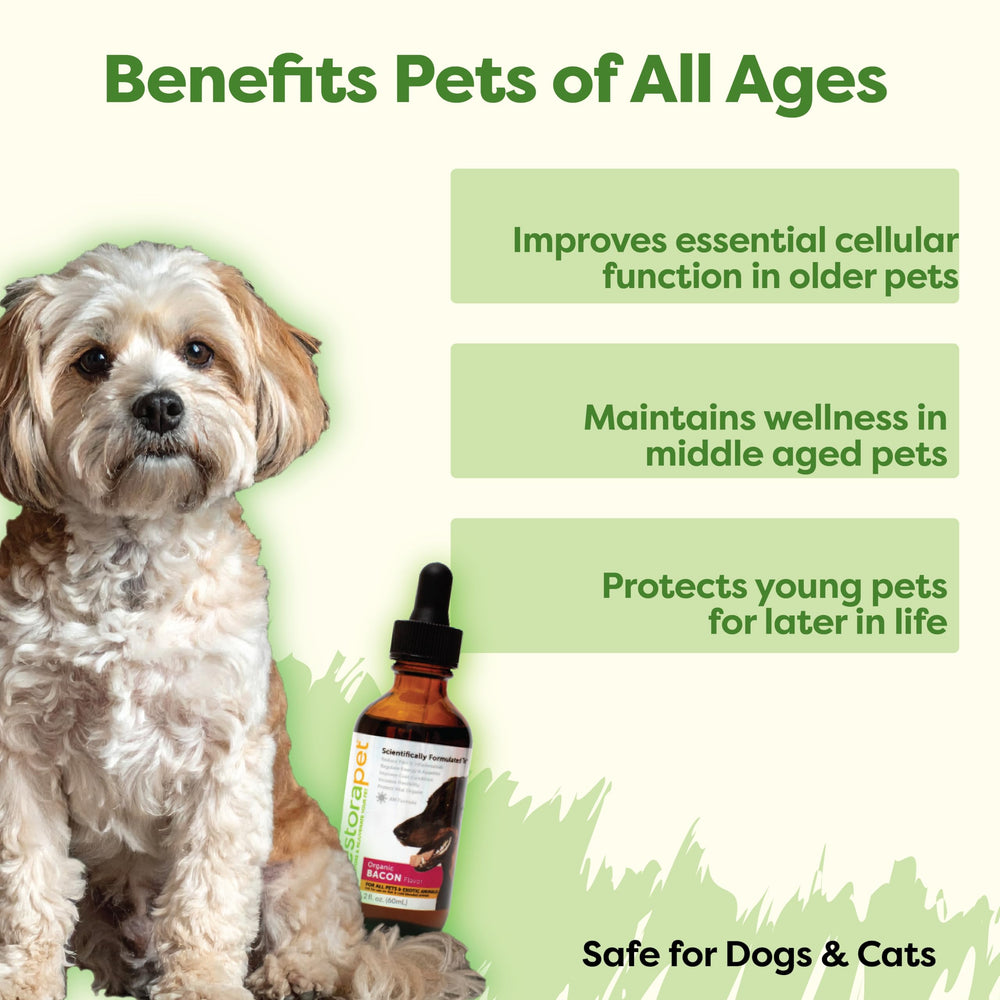 Pouring RestoraPet Bacon Liquid Multivitamin shows easy daily dosing for pets.