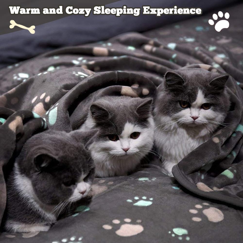Retainbre compact-foldable blanket highlights portable warmth for travel.