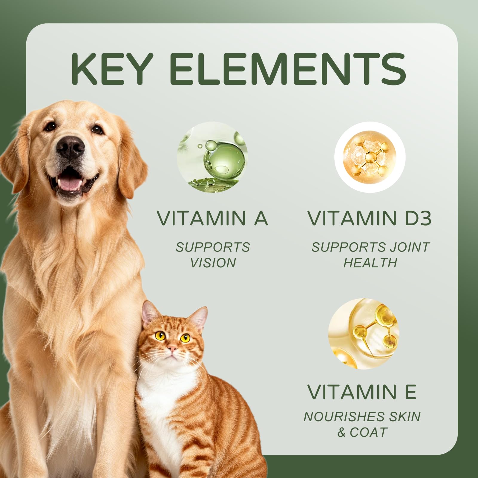 rethes pawvita mealtime serving supports dogs and cats during meals.