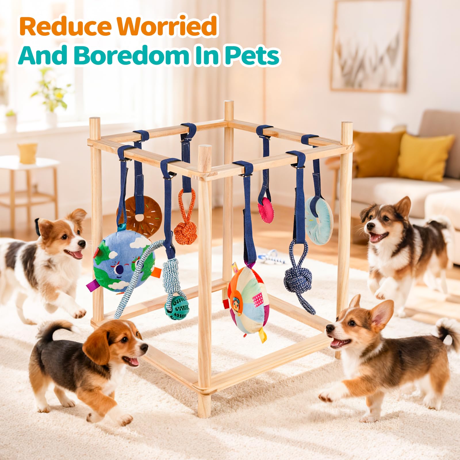 Retyion-wooden-frame-indoor-puppy-gym demonstrates sturdy construction for daily use.