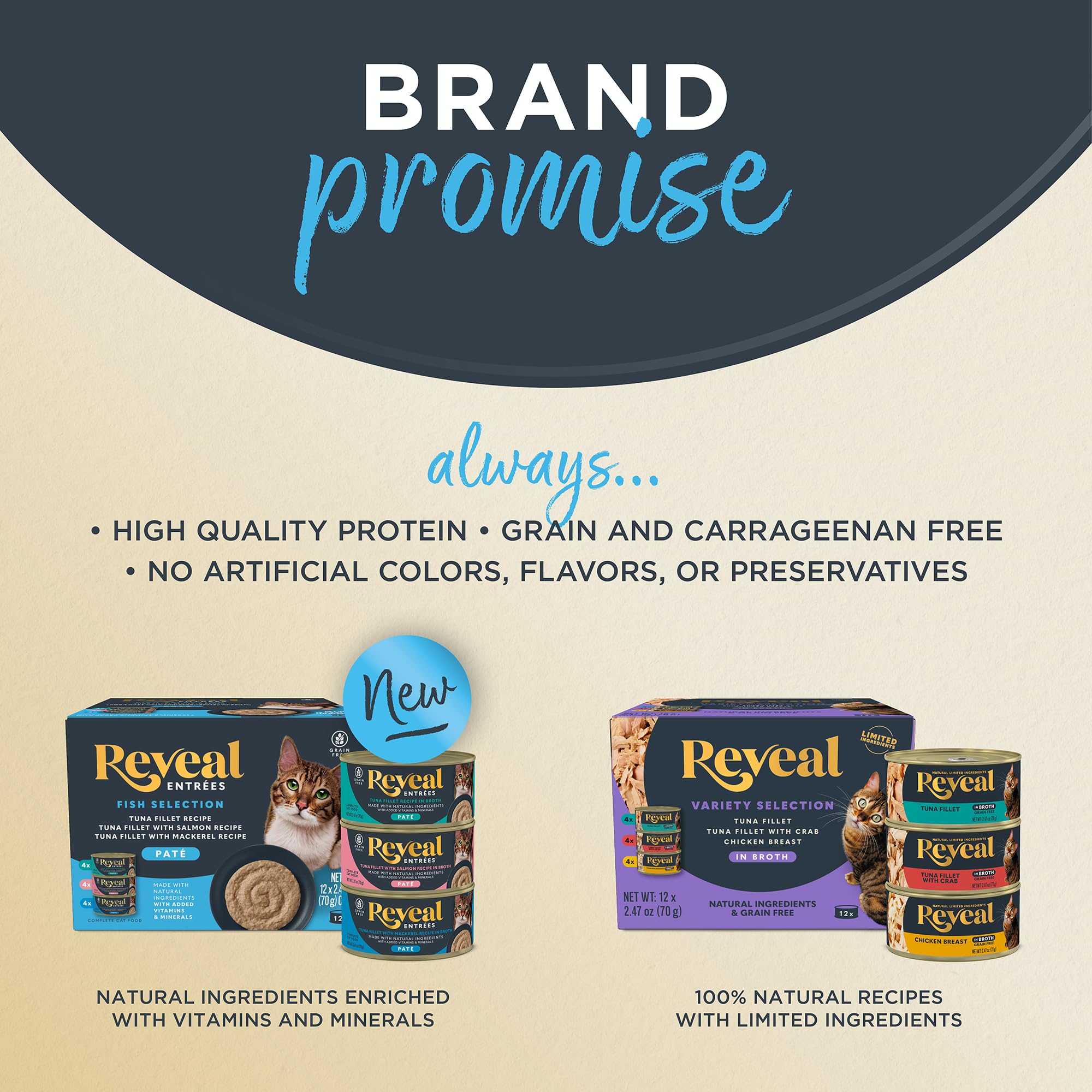 Certified B Corporation badge beside product image communicates responsible sourcing.