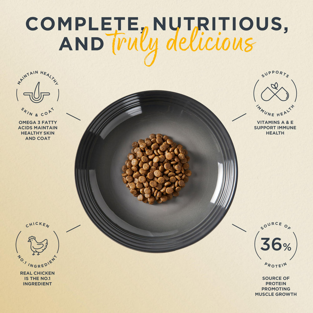 Reveal dry cat food cat meal bowl scene emphasizes balanced nutrition for adults.