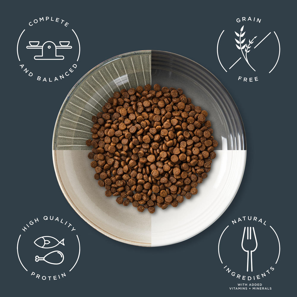 Reveal dry kitten food kibble closeup highlights grain-free recipe and natural ingredients.