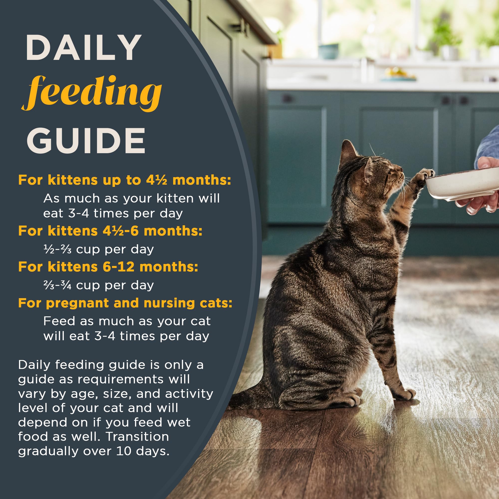 Reveal real chicken first ingredient closeup reinforces protein-rich nutrition for growing kittens.
