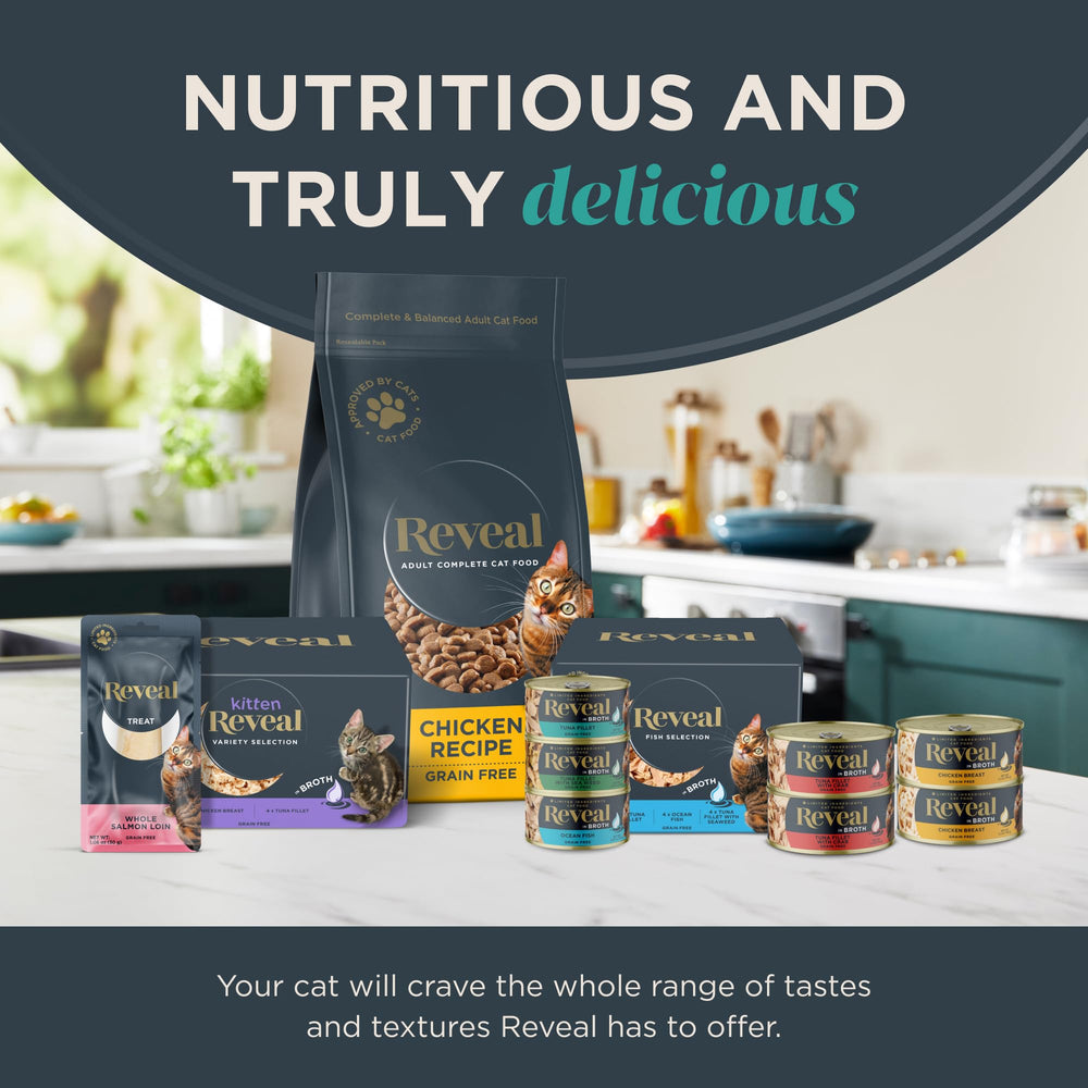 Reveal kitten food serving idea with small bowl hints at complete balanced nutrition.