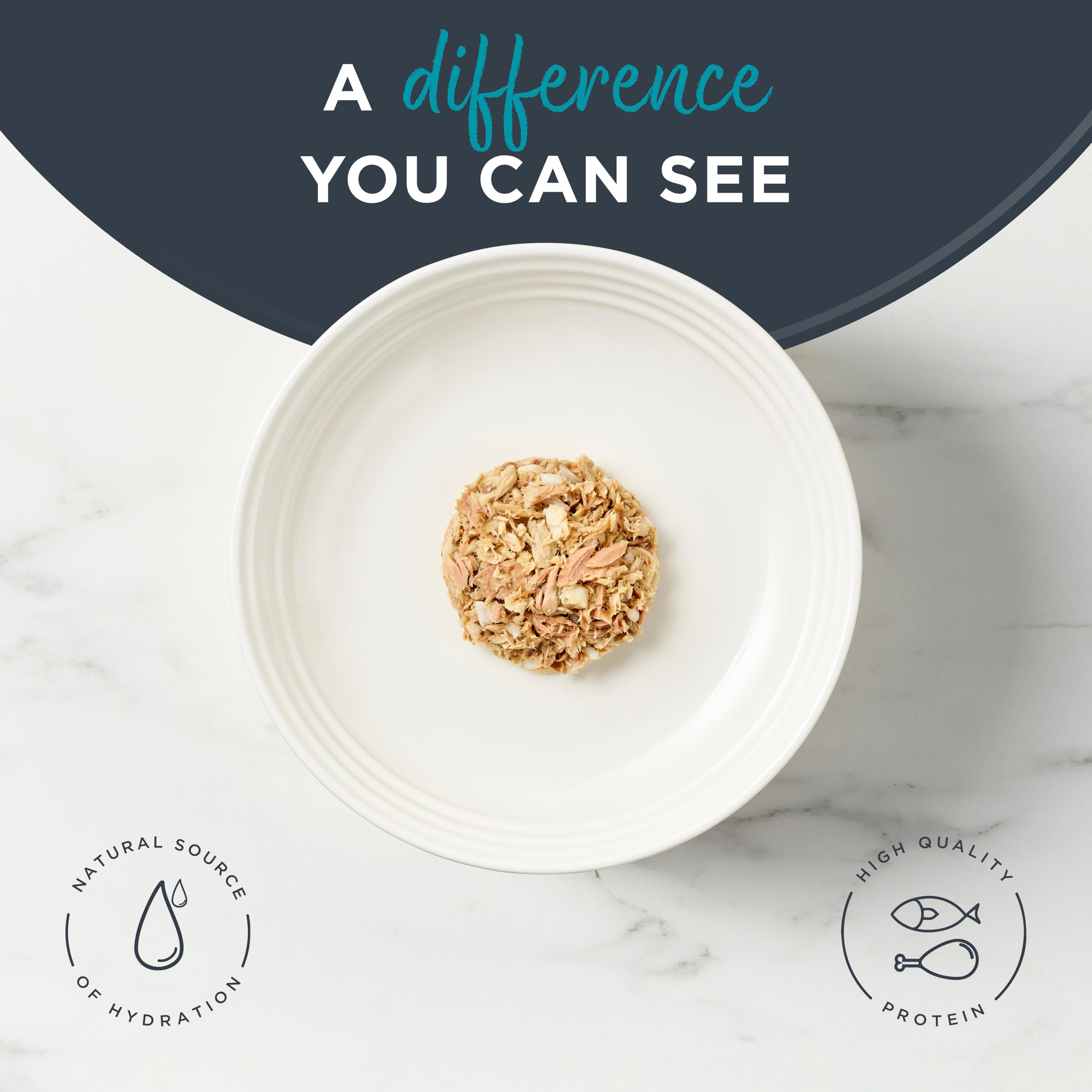 Reveal wet cat food with hydrating broth boosts palatability for cats.