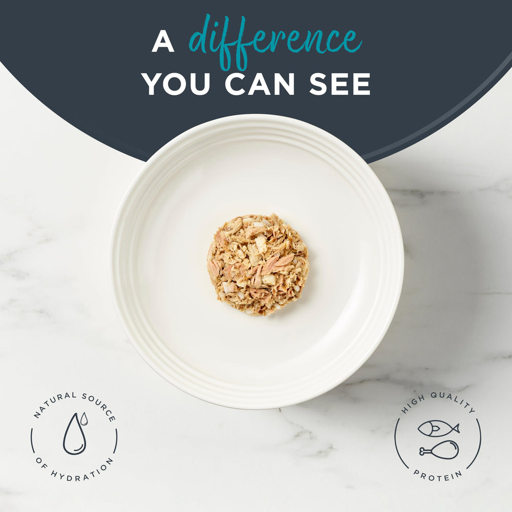Reveal wet cat food with hydrating broth boosts palatability for cats.