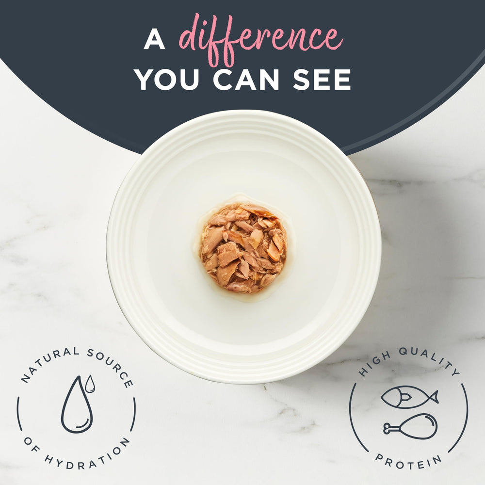 Reveal grain-free wet cat food can in gravy showcases real protein as the first ingredient