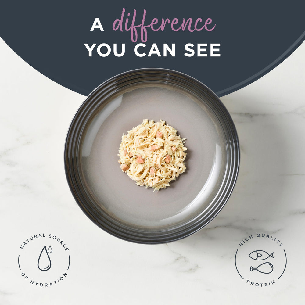 Reveal grain-free wet food in hydrating broth highlights high-protein meals.