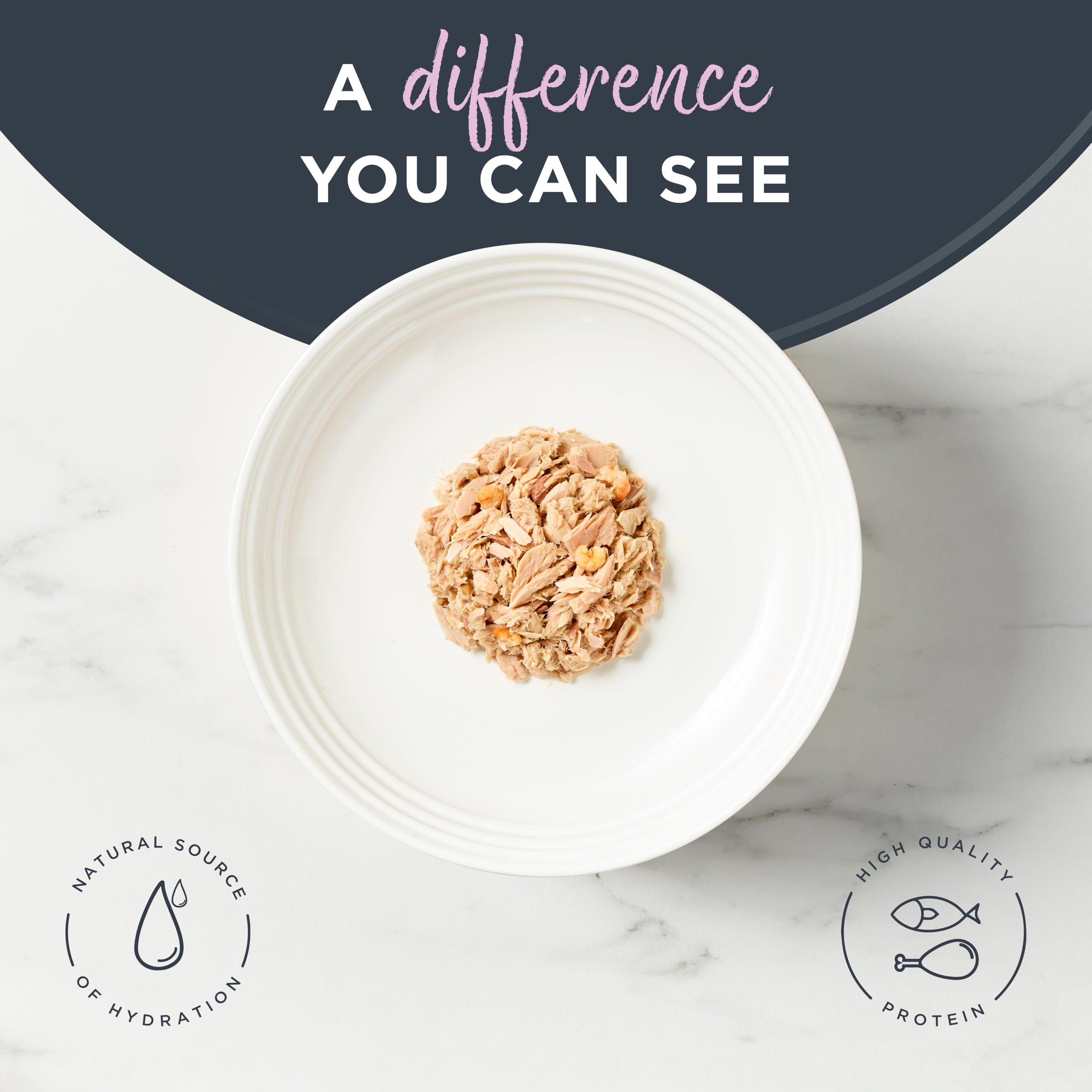 Reveal high-protein wet cat food featuring real protein first
