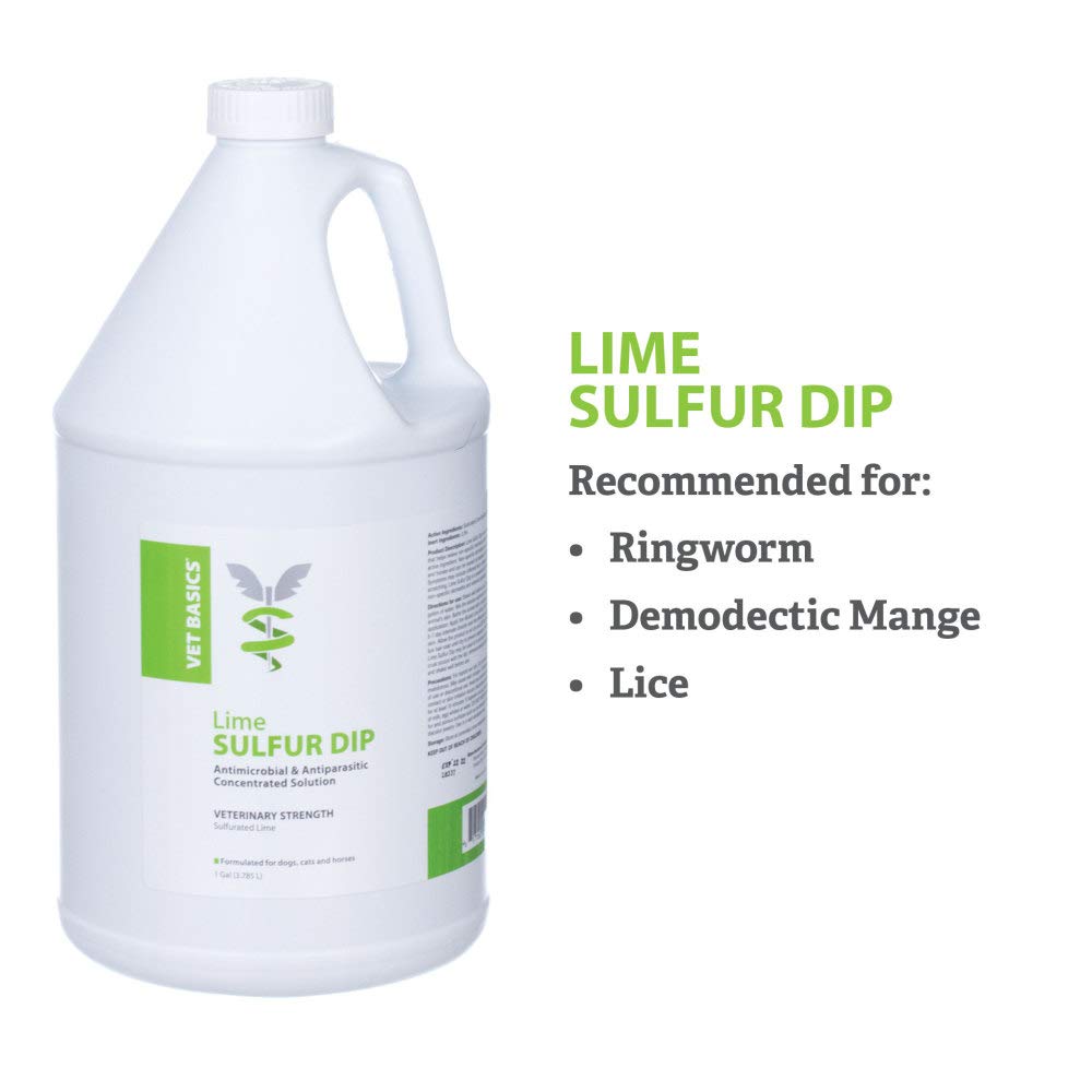 Revival Animal Health Lime Sulfur Dip used on a horse after dilution