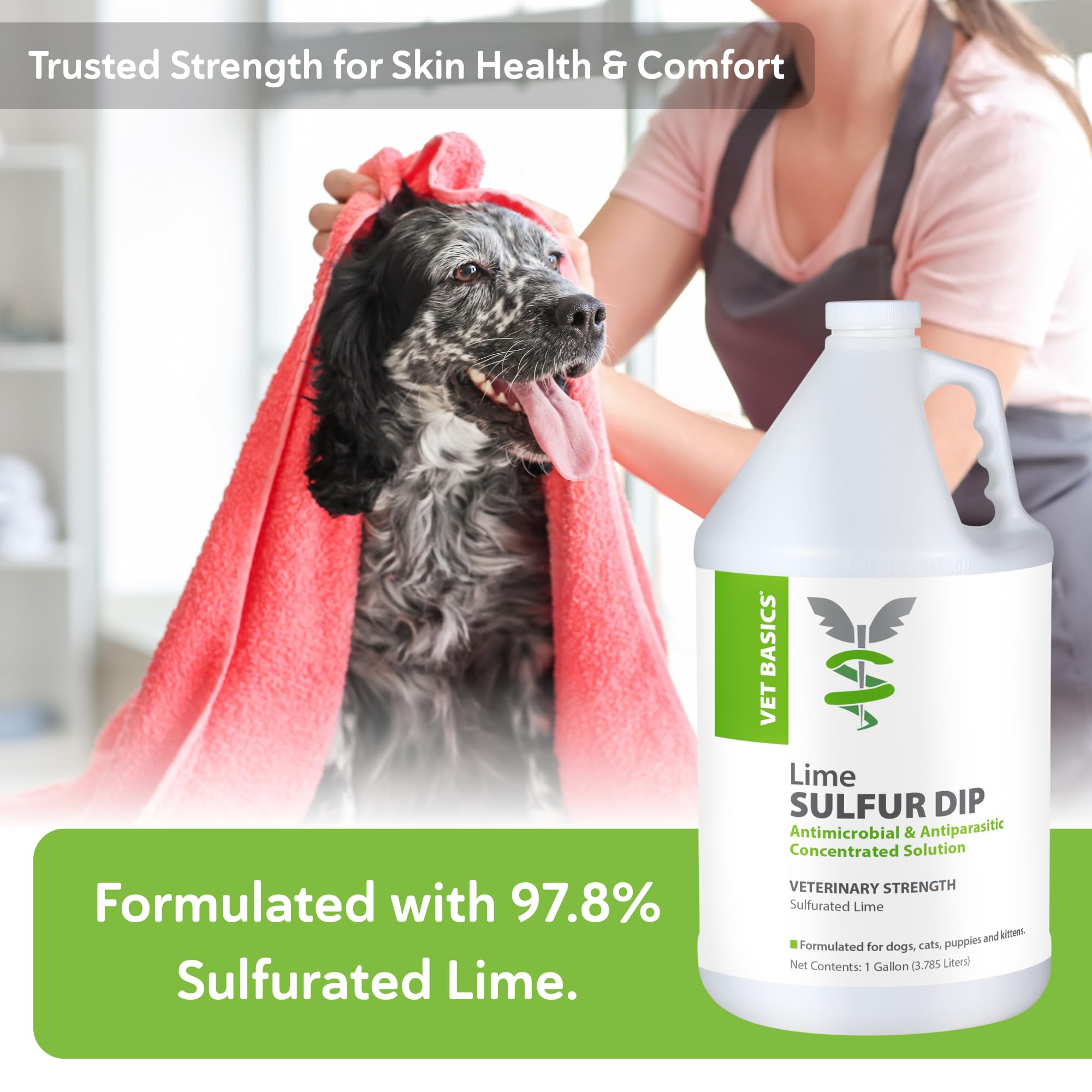Revival Animal Health Lime Sulfur Dip on mange-affected skin area