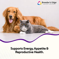 Revival Breeder's Edge B Strong powder label closeup highlights B-complex benefits for energy.