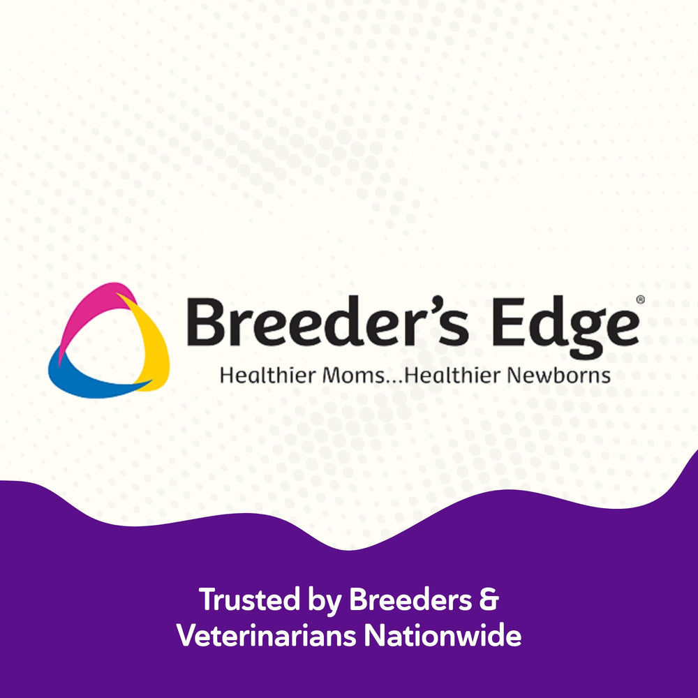 Revival Breeder's Edge B Strong powder packaging side view shows 1 kg size.