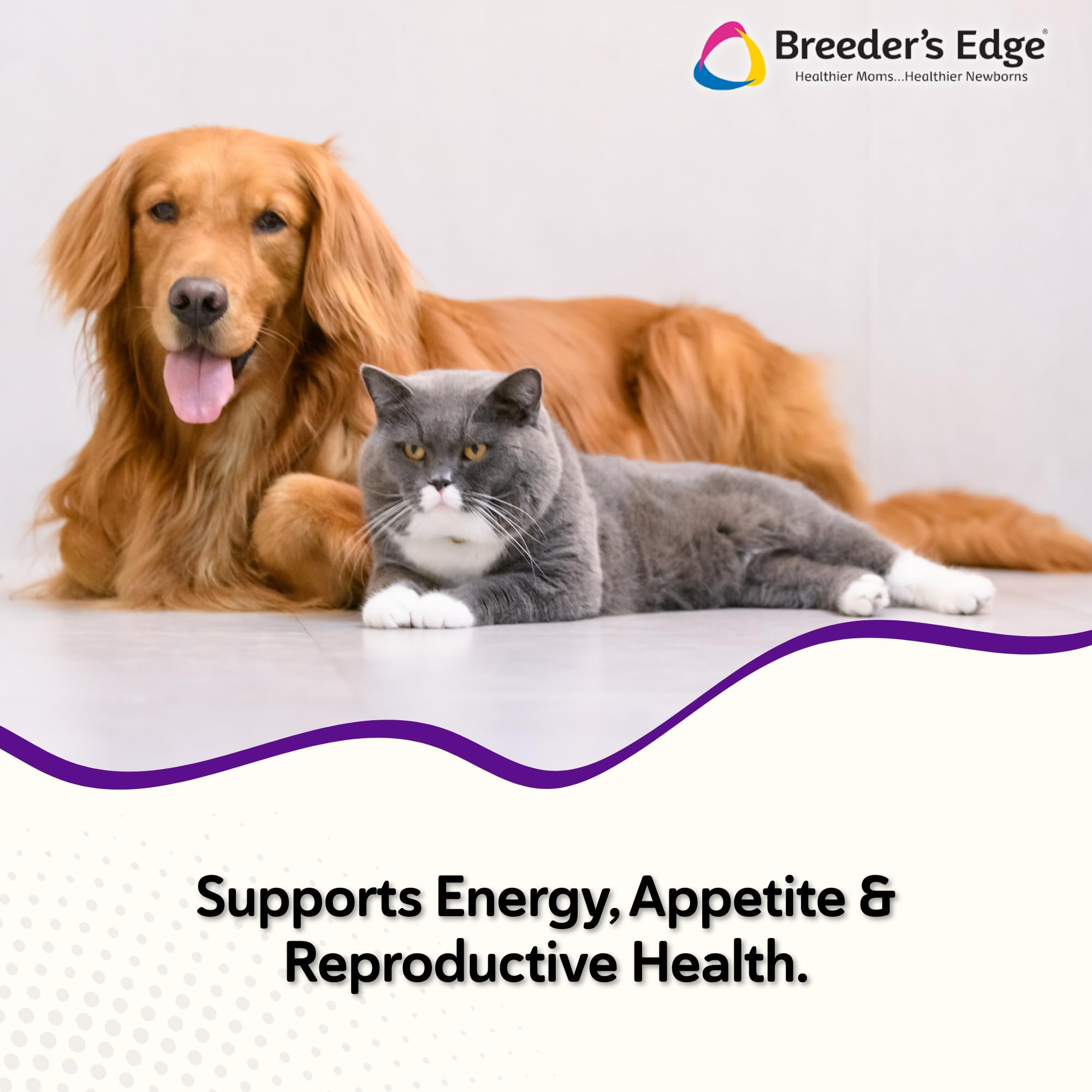 Breeder's Edge B Strong powder scoop measuring for easy daily dosing.