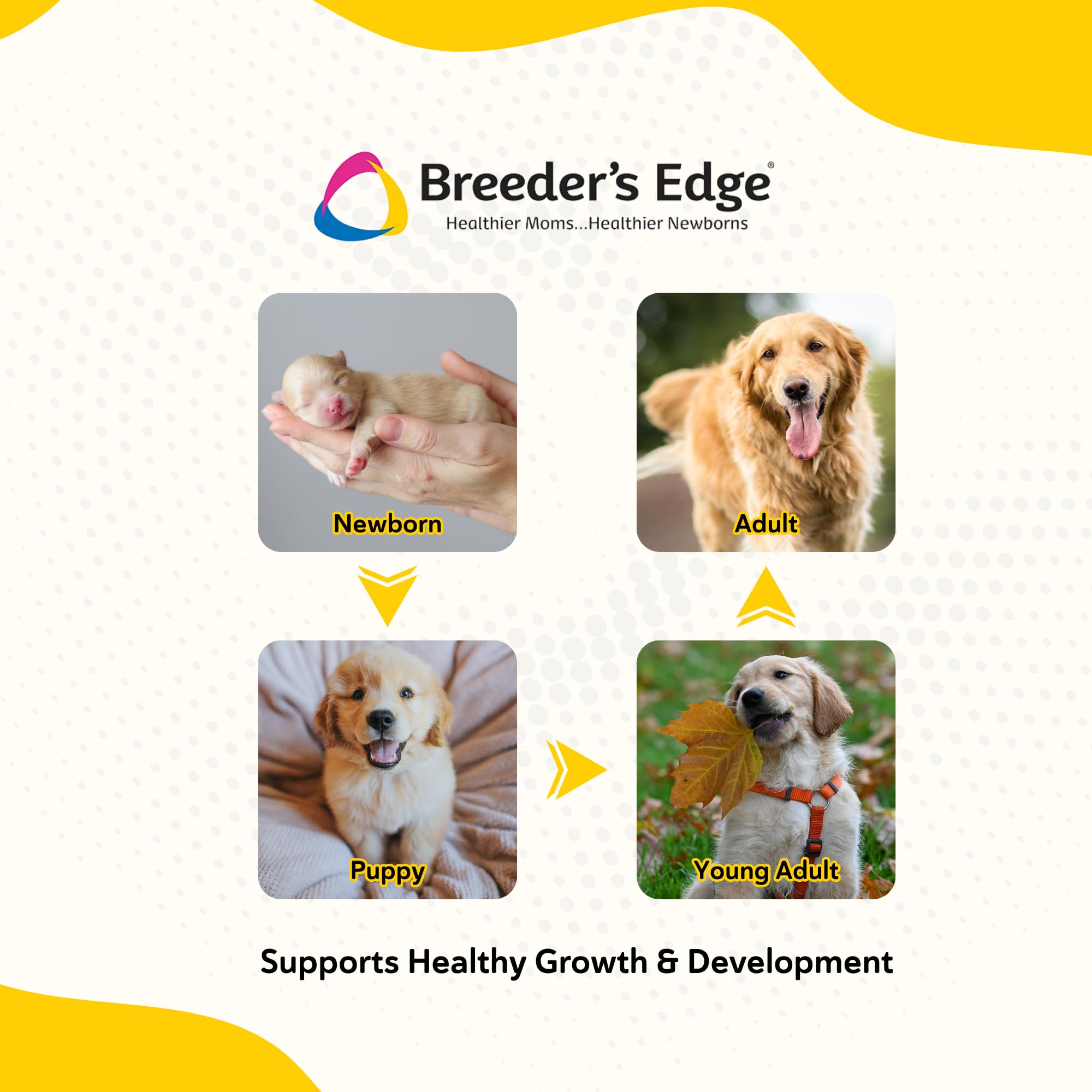 Revival Breeder's Edge Foster Care Bio-Mos gut health highlight.