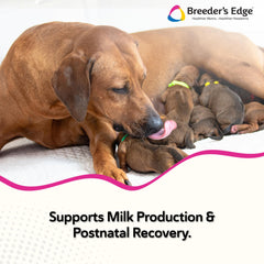 Breeder's Edge Cal Plus goat-milk-base ingredients highlighting digestibility