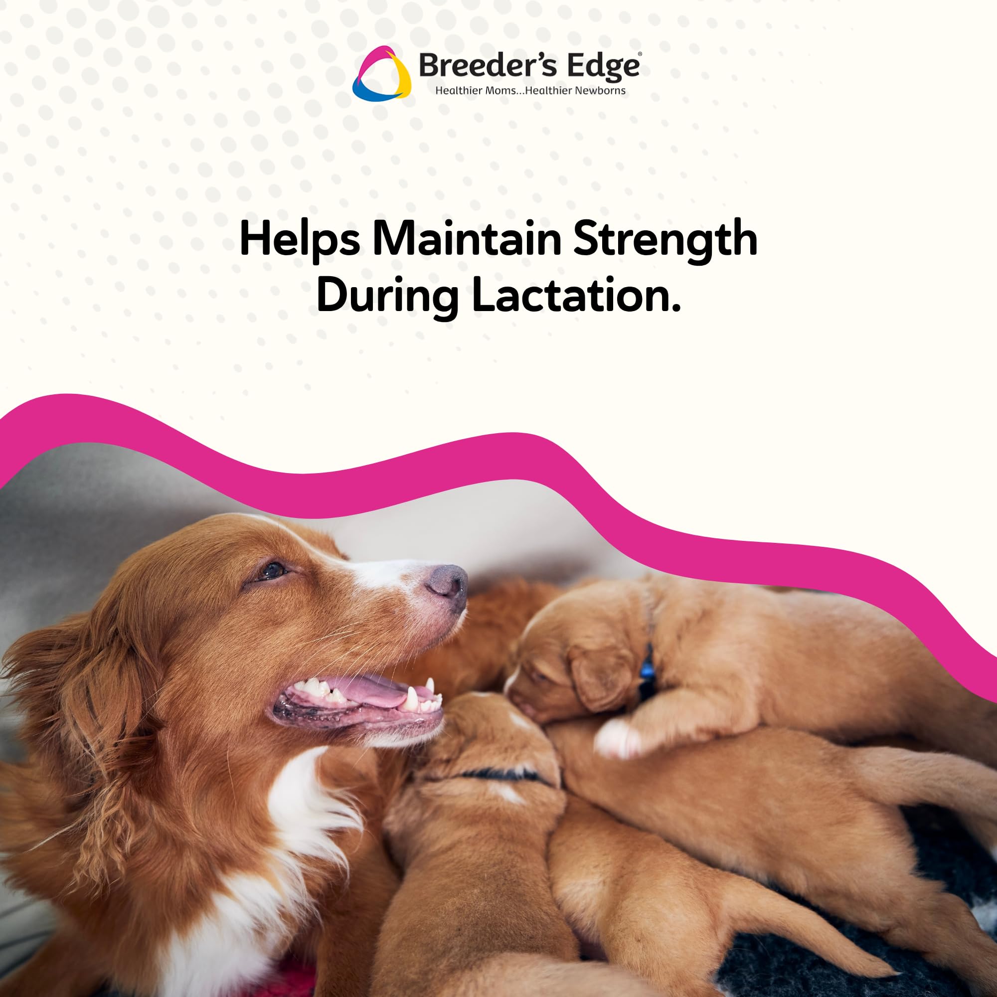 Breeder's Edge Cal Plus powder highlighting vitamin D3 inclusion