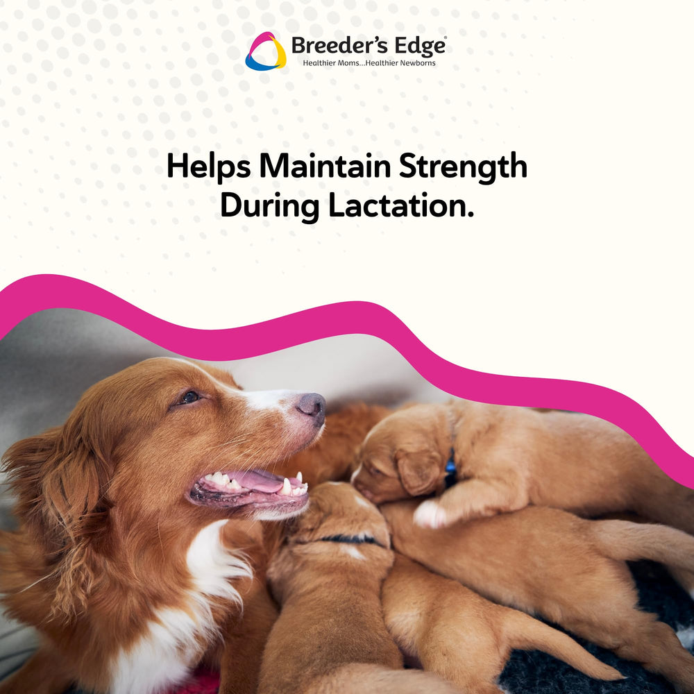 Breeder's Edge Cal Plus powder highlighting vitamin D3 inclusion