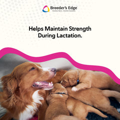 Breeder's Edge Cal Plus powder highlighting vitamin D3 inclusion