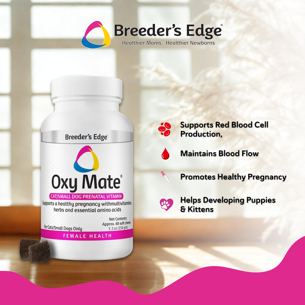 Oxy Mate chews shown with a feeding bowl for easy administration
