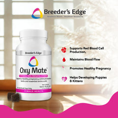 Oxy Mate chews shown with a feeding bowl for easy administration