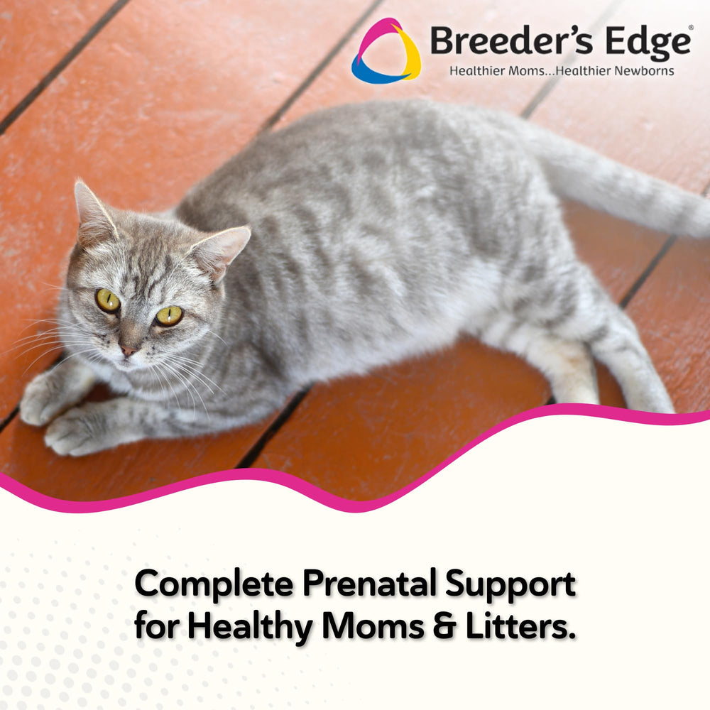 Oxy Mate soft chews close-up for convenient prenatal nutrition