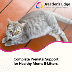 Oxy Mate soft chews close-up for convenient prenatal nutrition