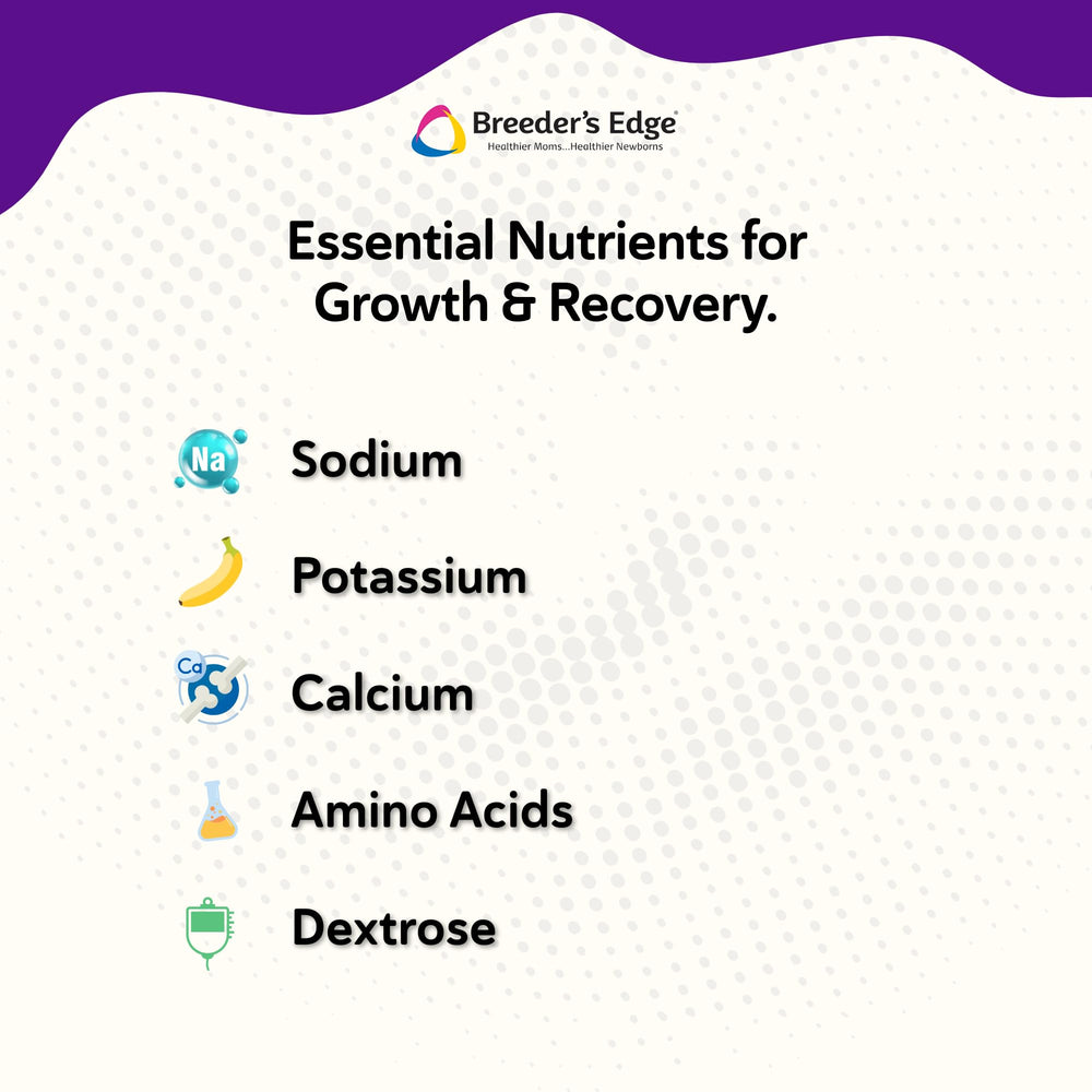 Puppy Lyte mixed with food to support hydration and energy.