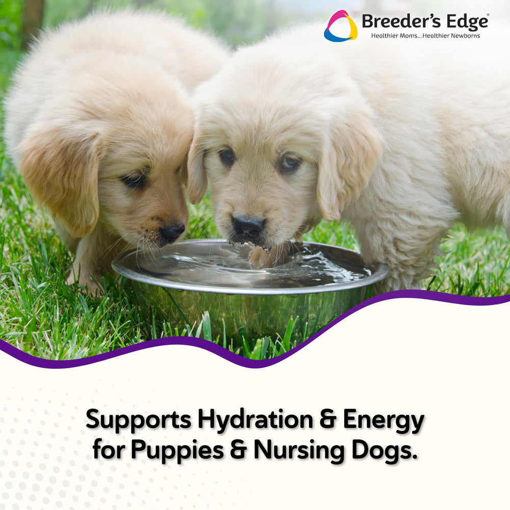 Revival Breeder’s Edge Puppy Lyte scoop for precise daily dosing.