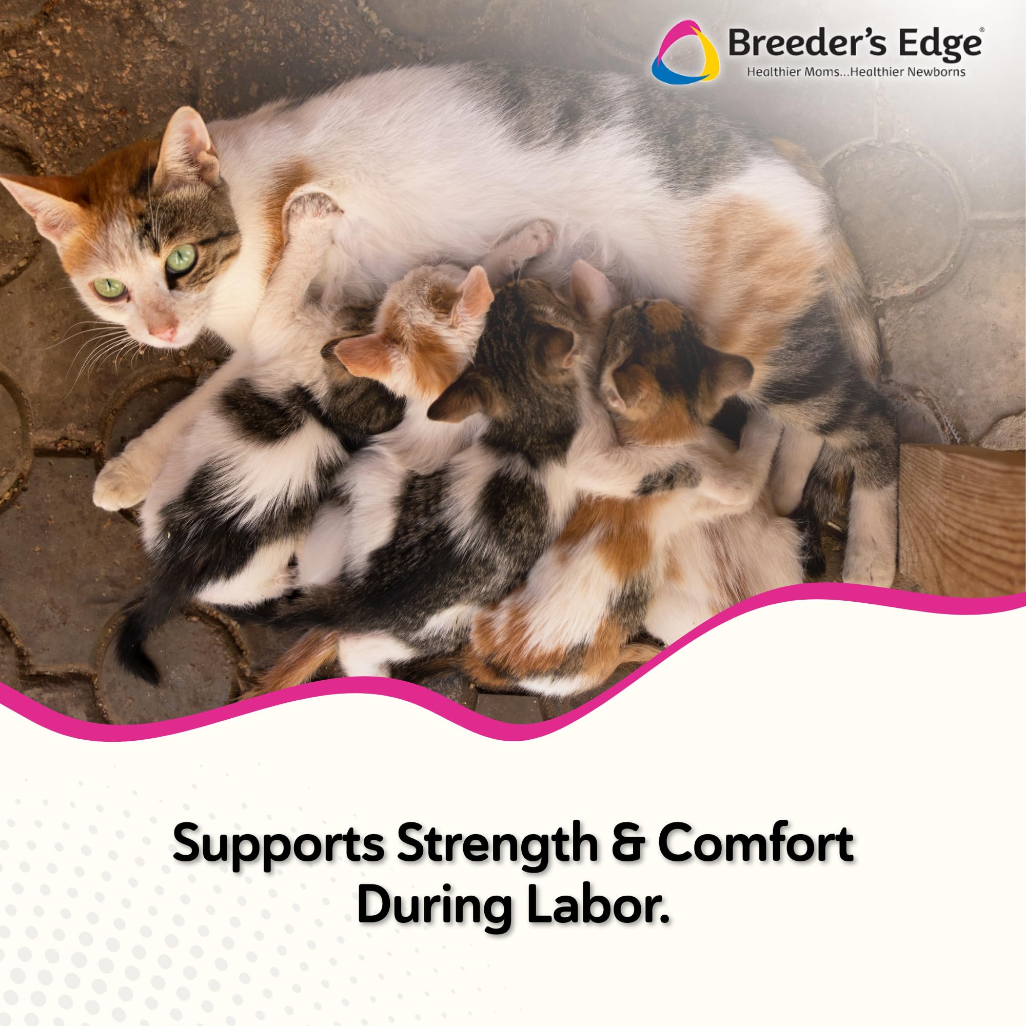 Breeder's Edge gel administered during labor for dogs and cats to support calm, focused delivery.
