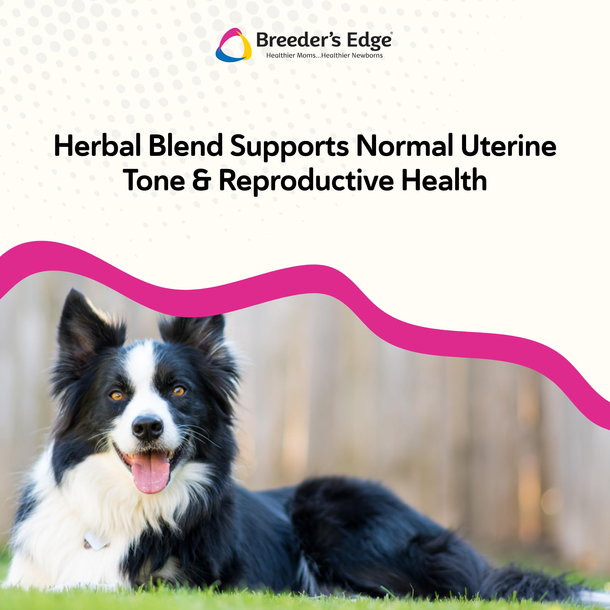 Revival Animal Health's Breeder's Edge Oxy Mate dog and cat models show suitability for breeders.