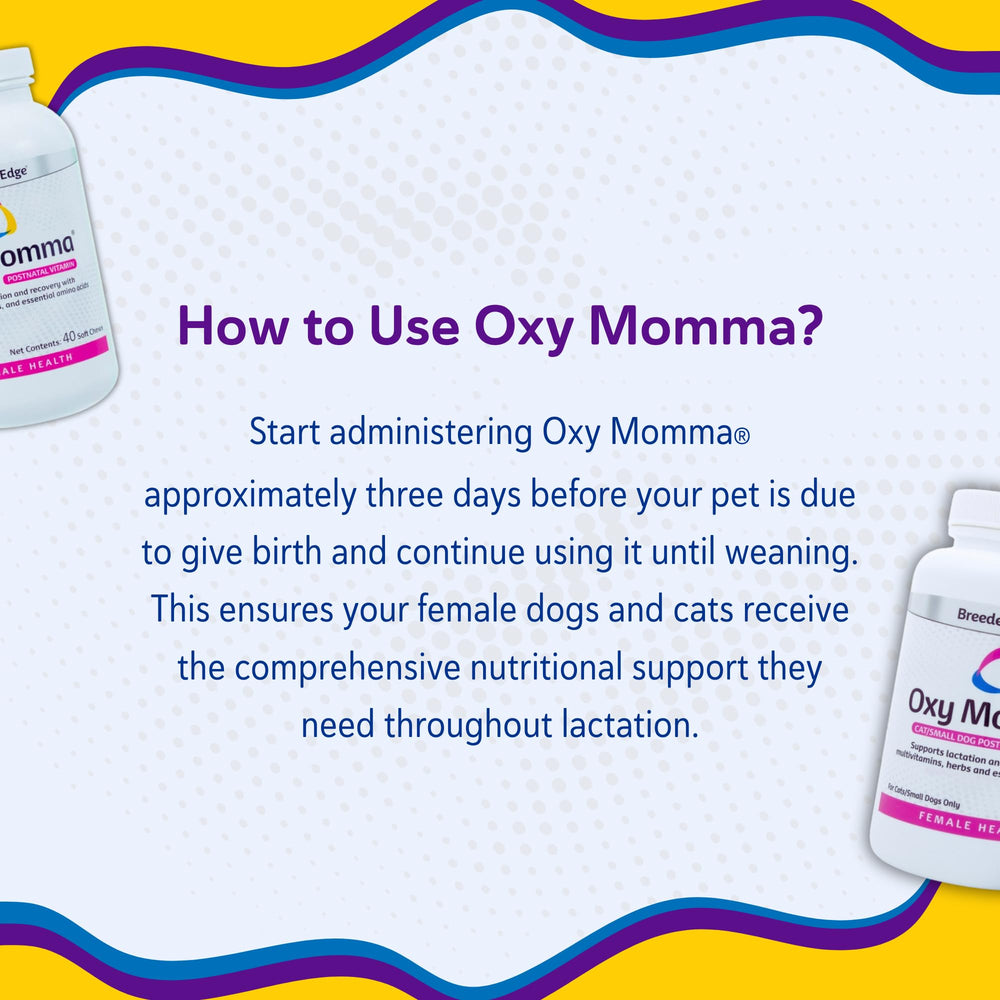 Breeder's Edge Oxy Momma dose being served to a nursing pet