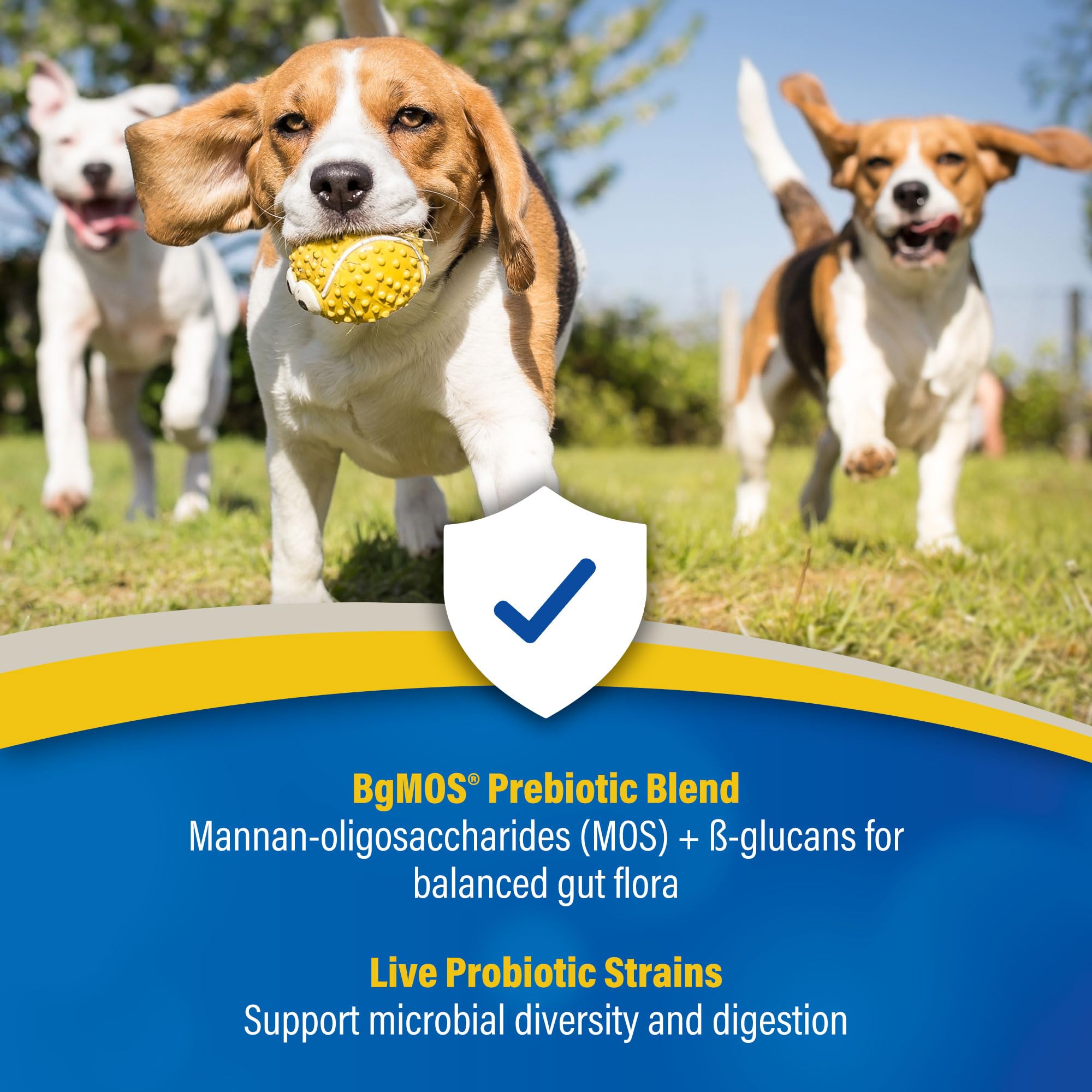 Front packaging highlights convenient, ready-to-use GI support for dogs and cats.