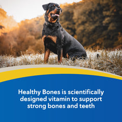 Doc Roy's Healthy Bones granules showing calcium-phosphorus blend for growing pets.