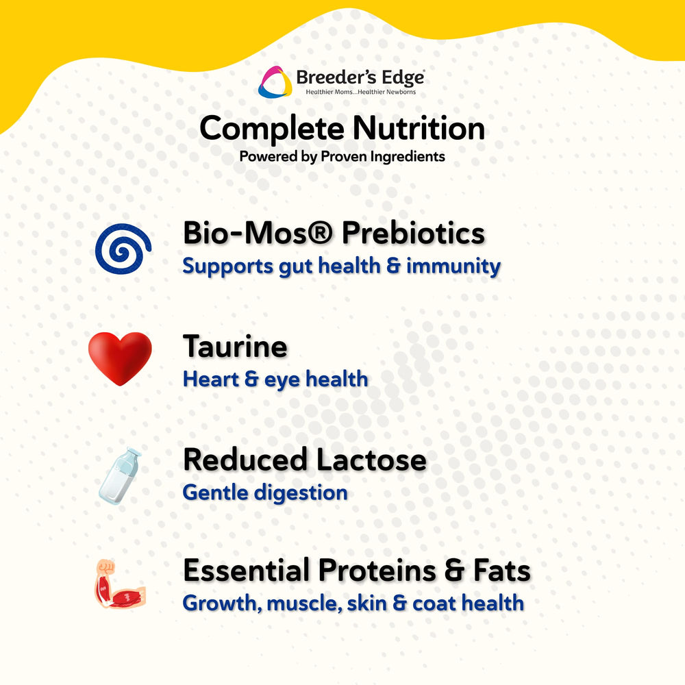 Breeder's Edge Foster Care Feline low lactose formula for sensitive stomachs