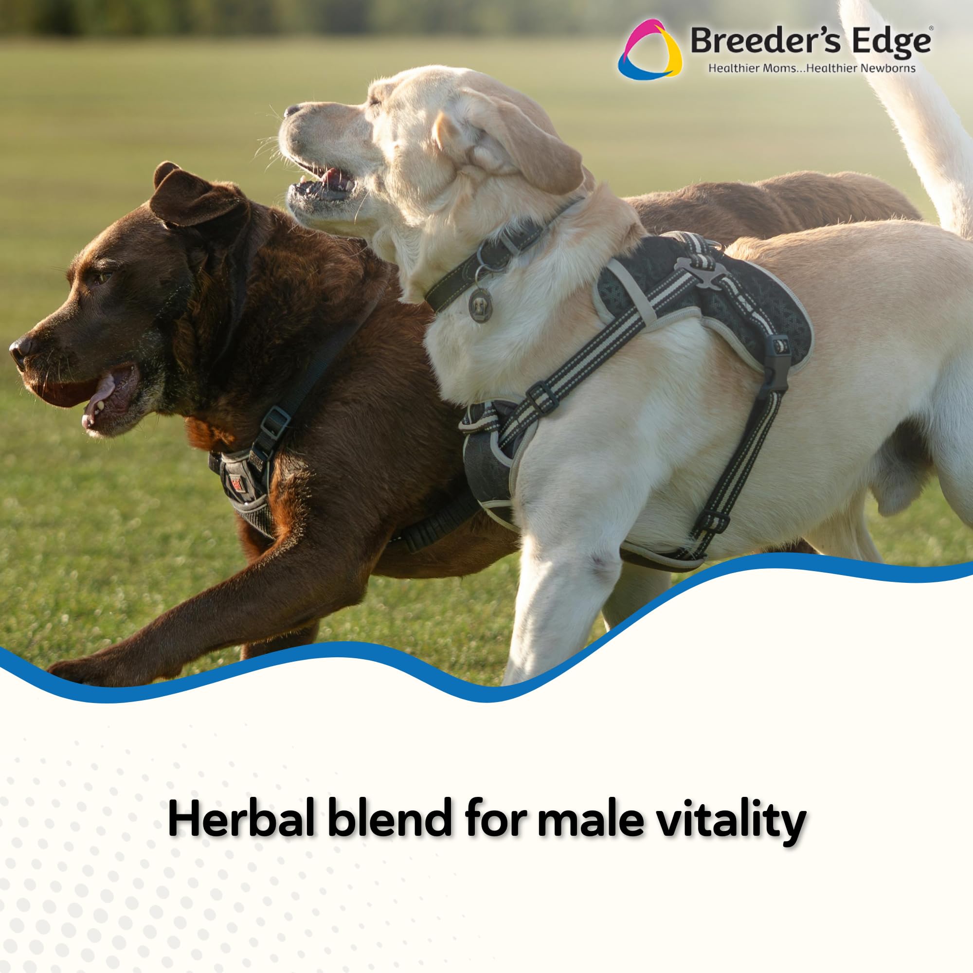 Revival Get Him Going energy bottle signaling boosted vitality.