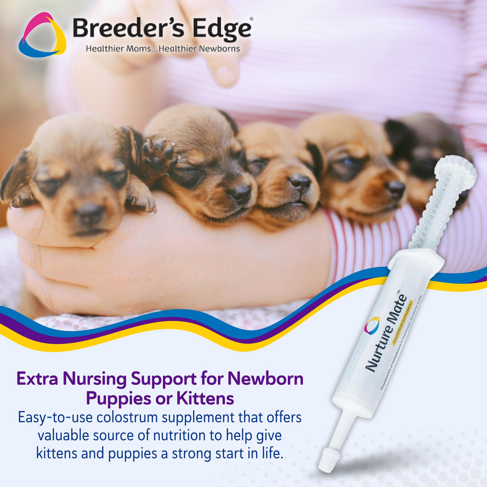 Revival Nurture Mate colostrum gel used for kitten feeding to support vitality.