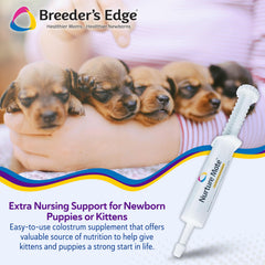 Revival Nurture Mate colostrum gel used for kitten feeding to support vitality.