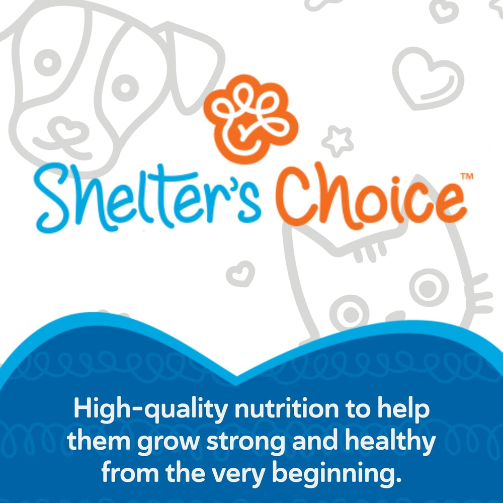 Revival Shelter Choice early-life immune support for vulnerable kittens.