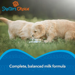 Revival Shelter Choice easy mix powder with water for quick, smooth preparation.