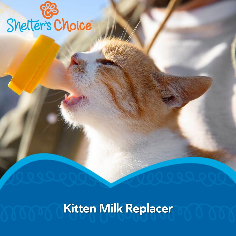 Revival Shelter Choice digestive-friendly formula promotes healthy GI for kittens.