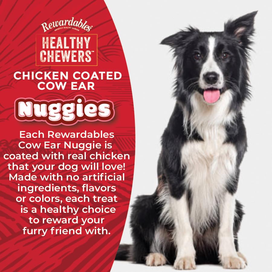 Rewardables chicken coated cow ear nuggies dog enjoying chew demonstrates engagement