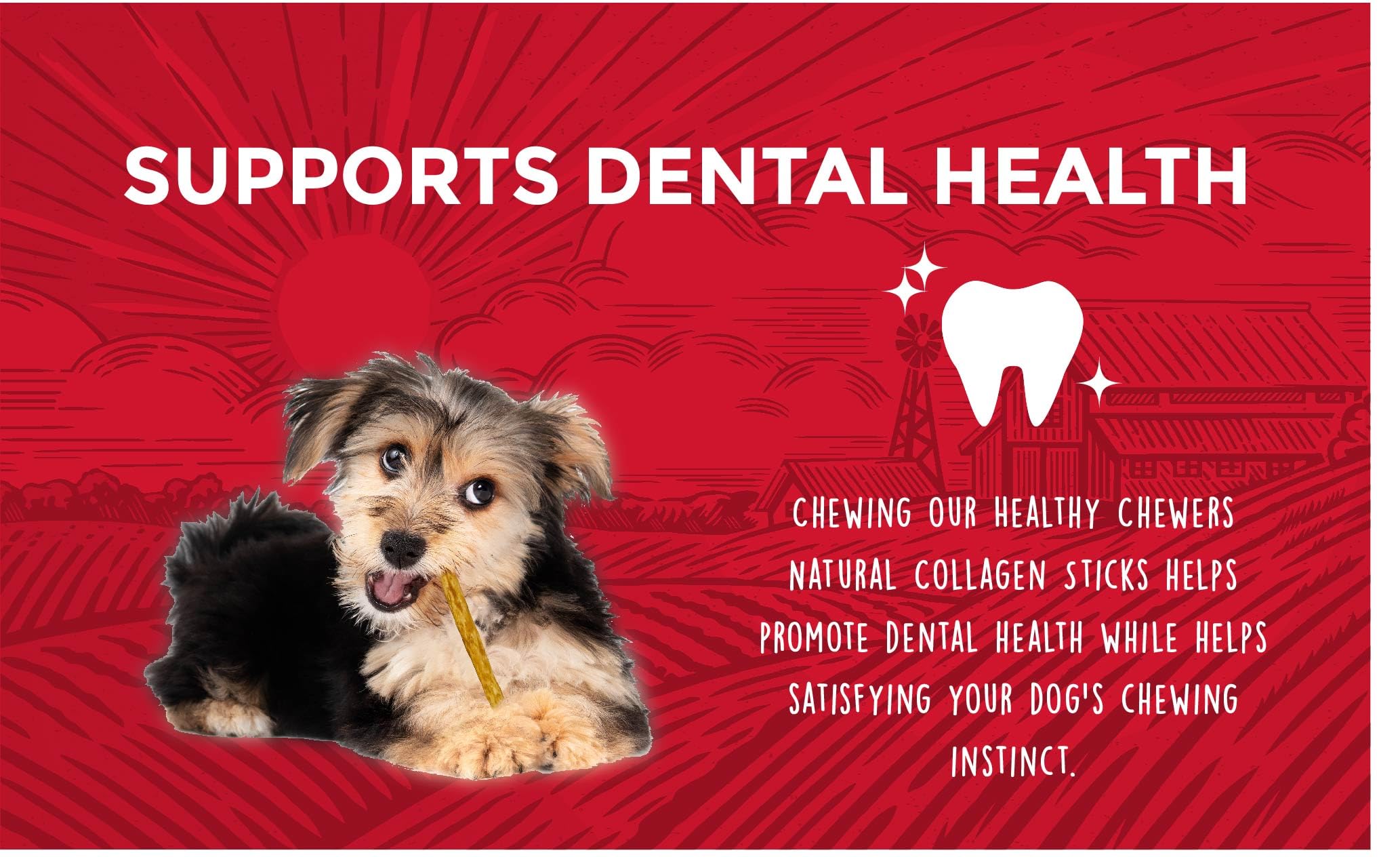 Rewardables Real beef coating on chews illustrates irresistible flavor and natural ingredients.