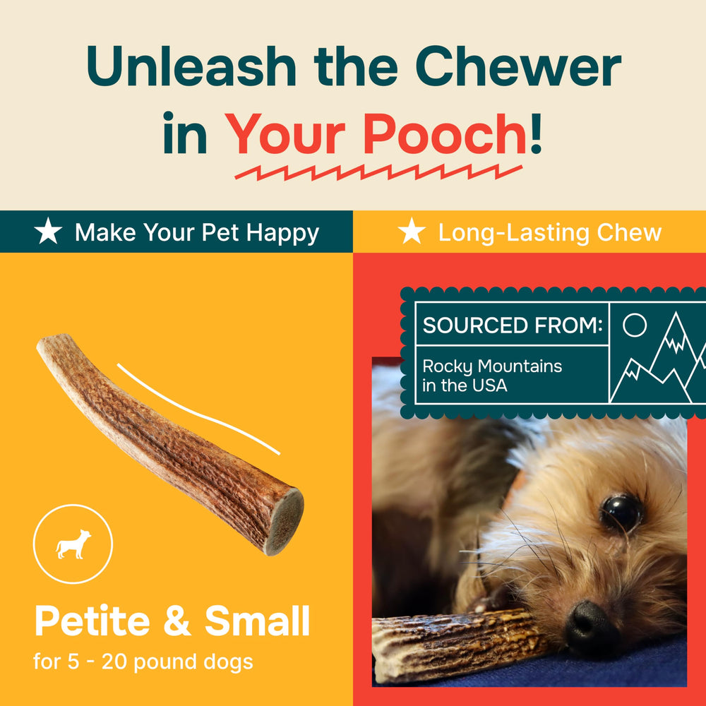 REXIPETS elk antler packaging USA - proudly sourced and packaged in the USA